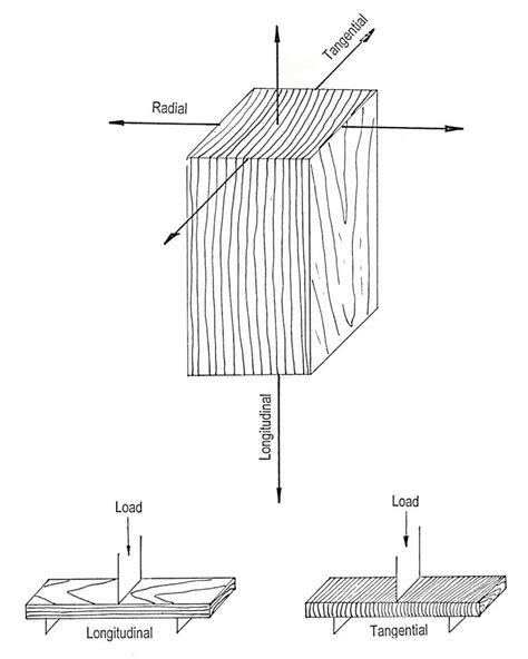 orthotropic wood compression test|Mechanical Properties of Wood .